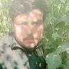 user39270475383825