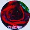 necmyeyldz