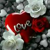 leo_dav12