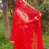 rosika.pandey