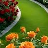 user9803488513448