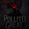 pollitoxitt2
