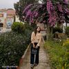 elysia6133