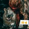 user3902174144846