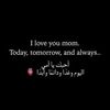 user87237518014081