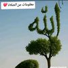 user33531025834488
