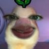 hihihi__71