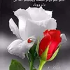 majede.gh