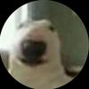 arseniy781