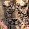 zahra_1377e