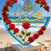 user7974631147200