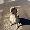 ryder.schultz8