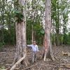 mauricio.solis.od