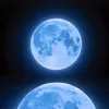 nab_aa13