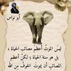 user2143987578059