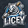 licey.lidom