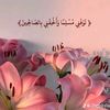 hawa.ah57