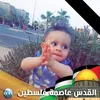 hamid.tassa1