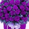 user22602906100695