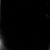 alex_200860
