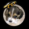 josue_9101