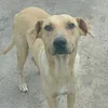axel_5453