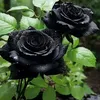 user1227916307727