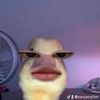 kanyazvj0dd
