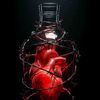lovej576