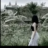 ino255_zahara1