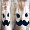 bvrynine_