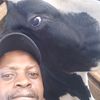 user10420563091905