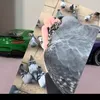 pigeonnjapuszkohotwheels