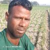 mamun12543