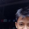 urban_lama21