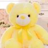 winthepooh20