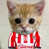 wwfernando8