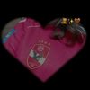 farah.wesam3