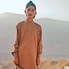 dinmuhammad346