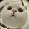 my_4386