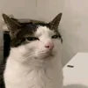 yuki_zo0