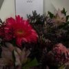 littlleflower_