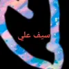 alawi.alqisi