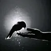 salahmhamad00