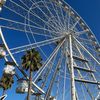 neele_226