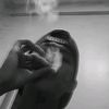 d.dane5