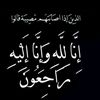 user7255880374445