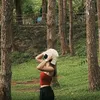 paayapick