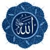 amrokamal75