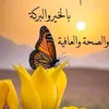 user3928719501408